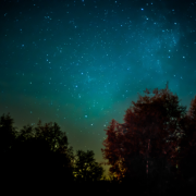 Une balade semi-nocturne sensorielle au coeur de la forêt du Jorat